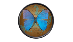 Runde Gürtelschnalle mit blauem Schmetterling